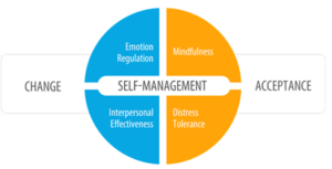 learning from dialectical behaviour therapy (dbt)